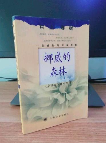 包含《职业选手的成长路径：从网吧少年到世界冠军》的词条