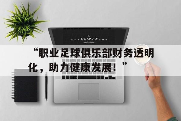 ac米兰官方网站-“职业足球俱乐部财务透明化，助力健康发展！”